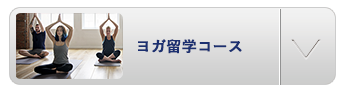 ヨガ留学コース
